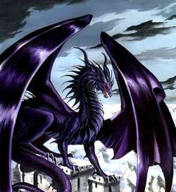 purpledragon