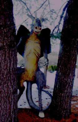 jersey-devil