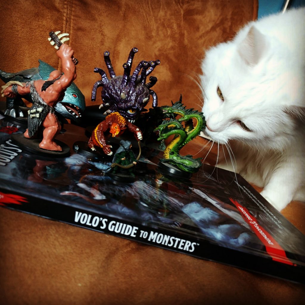 Um gato comento miniaturas de RPG em cima do livro